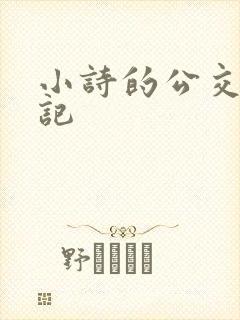 小诗的公交车日记