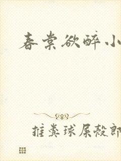 春棠欲醉小说