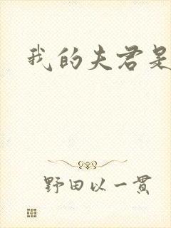 我的夫君是冥王