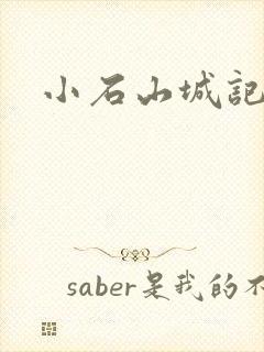 小石山城记