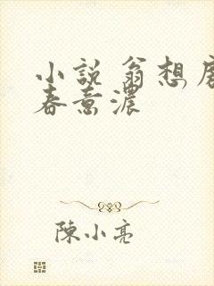 小说 翁想房中春意浓