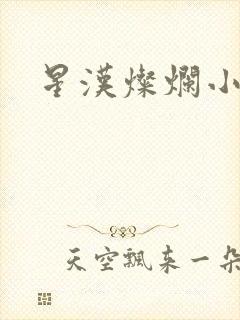 星汉灿烂小说