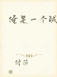 俺是一个贼