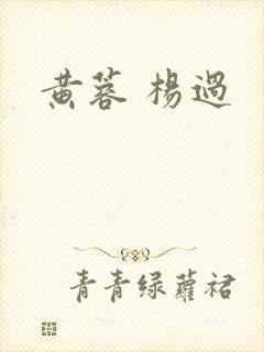 黄蓉 杨过