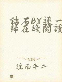 钻石BY逐一而归在线阅读封面
