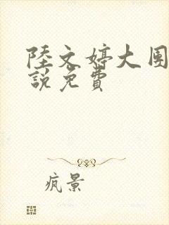 陆文婷大团圆小说免费封面