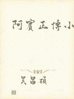 阿宾正传小说