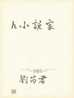 h小说家
