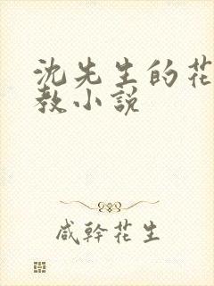 沈先生的花式调教小说封面