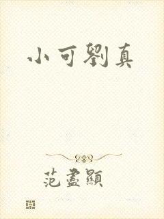 小可刘真封面