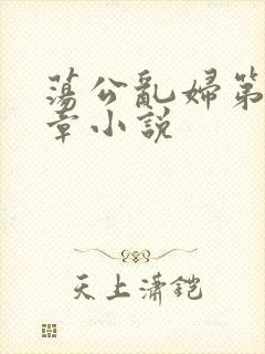 荡公乱妇第51章小说