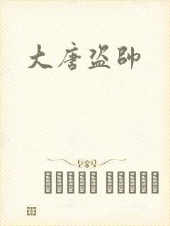 大唐盗帅