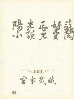阳光正好苏玥玥小说免费阅读无弹窗