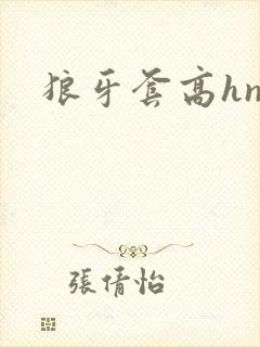 狼牙套高hnp封面