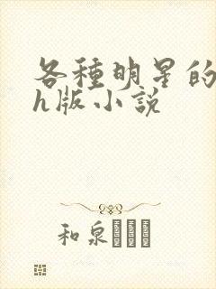 各种明星的综艺h版小说封面