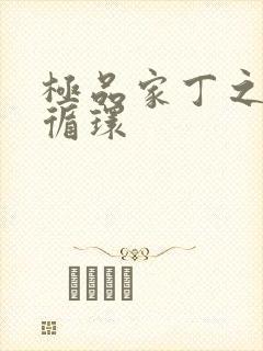 极品家丁之因果循环封面
