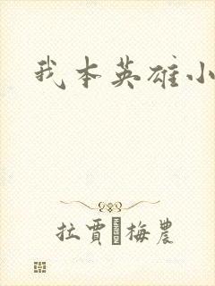 我本英雄小说