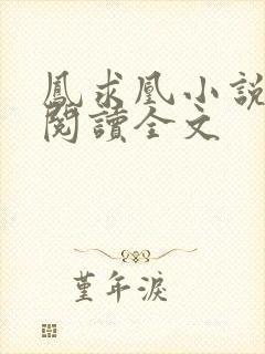 凤求凰小说免费阅读全文封面