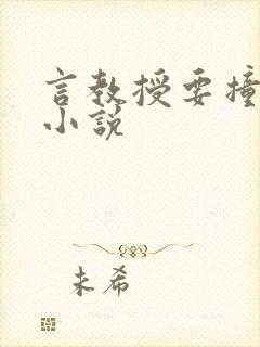 言教授要撞坏了小说