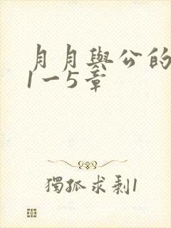 月月与公的激情1一5章