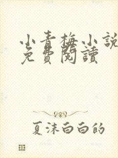 小青梅小说全文免费阅读
