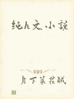 纯h文小说