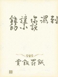 能让你湿到不行的小说