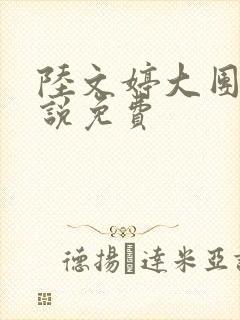 陆文婷大团圆小说免费封面