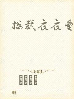总裁夜夜爱