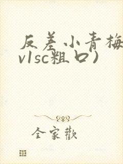 反差小青梅(1v1sc粗口)