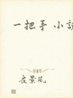 一把手 小说