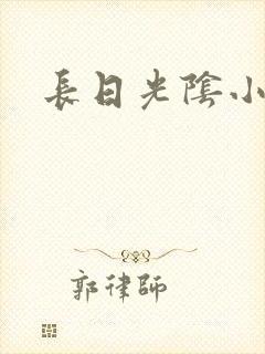 长日光阴小说封面