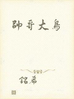 帅哥大鸟