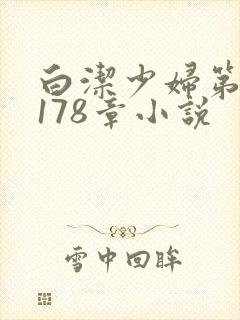 白洁少妇第1一178章小说封面