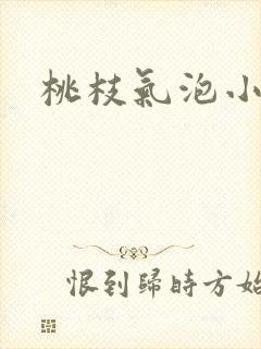 桃枝气泡小说