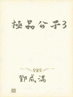 极品公子3
