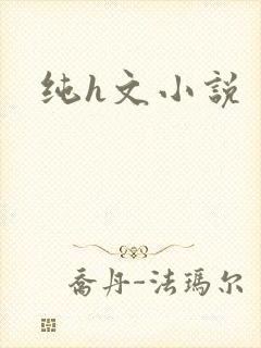 纯h文小说