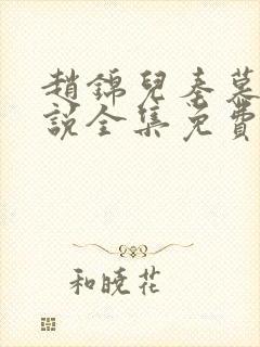 赵锦儿秦慕修小说全集免费封面