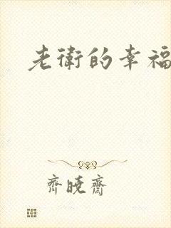 老卫的幸福生活封面
