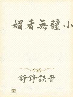 媚者无疆小说