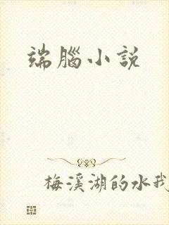 端脑小说
