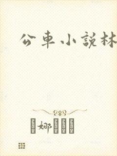 公车小说林蔓蔓