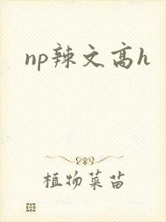 np辣文高h封面