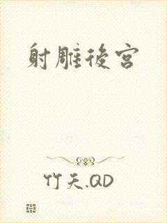 射雕后宫封面