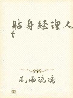 贴身经理人txt