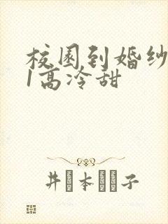 校园到婚纱1V1高冷甜