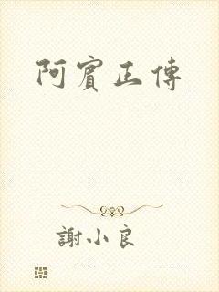 阿宾正传