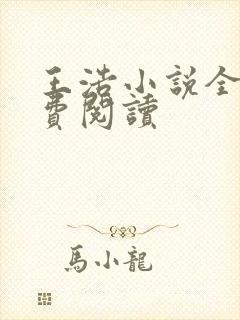 王浩小说全文免费阅读封面