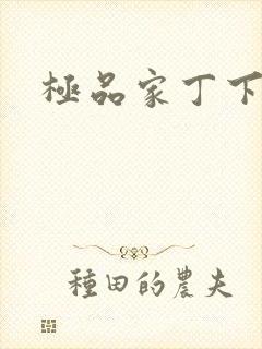 极品家丁下载