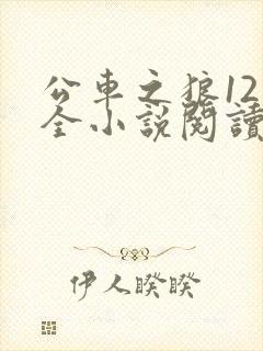 公车之狼12集全小说阅读